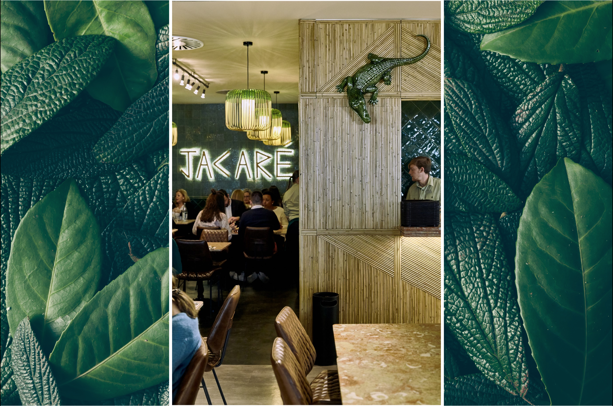 JACARÉ: UM HABITAT ARTÍSTICO  (3)